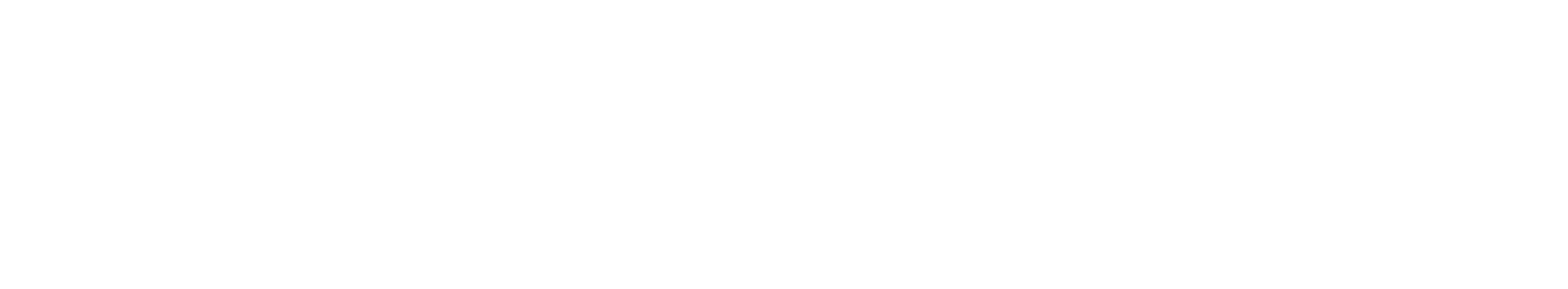 Stone Tile Restorations